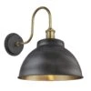 Swan Neck Outdoor & Bathroom Dome Wall Light - 13 Inch - Pewter & Brass - Pre-order - Expected W/c 13th Of May