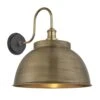 Swan Neck Outdoor & Bathroom Dome Wall Light - 17 Inch - Brass - Pre-order - Expected W/c 13th Of May