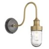 Swan Neck Outdoor & Bathroom Wall Light - Brass - Tube Glass