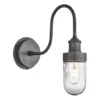 Swan Neck Outdoor & Bathroom Wall Light - Pewter - Tube Glass 1 Swan Neck Outdoor & Bathroom Wall Light - Pewter - Tube Glass -Lumi Home Shop 3 Inch WallLight Pewter Industville Lighting TubeGlass PewterHolder SwanNeck IP65 SN IP65 WL P