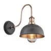 Swan Neck Outdoor & Bathroom Dome Wall Light - 8 Inch - Pewter & Copper