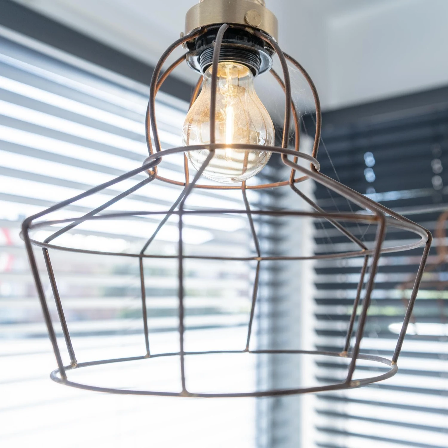 Brooklyn Wire Cage Pendant - 8 Inch - Pewter - Rose 7 Brooklyn Wire Cage Pendant - 8 Inch - Pewter - Rose - Image 5