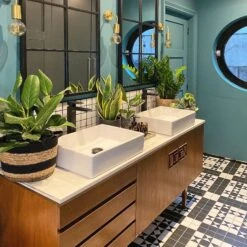 Sleek Edison Wall Light - Brass 27 Sleek Edison Wall Light - Brass -Lumi Home Shop SL EWL BLRINDUSTVILLEB2CBATHROOMPATTERNTILESPLANTS thisonefloats