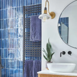 Swan Neck Glass Dome Wall Light - 8 Inch - Brass -Lumi Home Shop SN GLDWL8 B B2B BATHROOM BLUE WALLPAPER EnzoCerriPhotography KBHBramfieldRoad 192 1